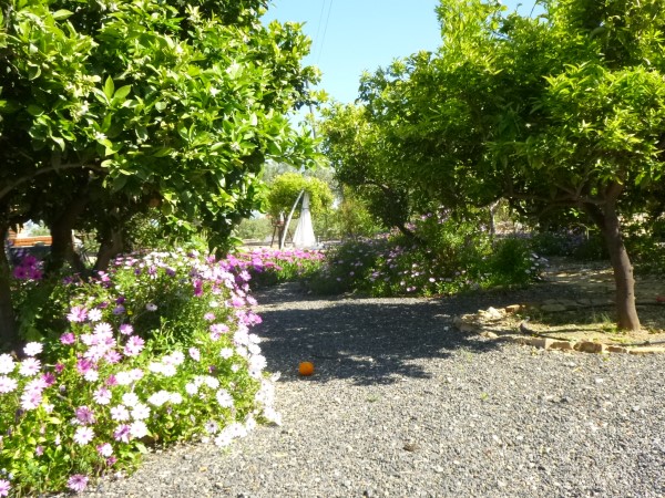 Garden at Finca Arboleda2